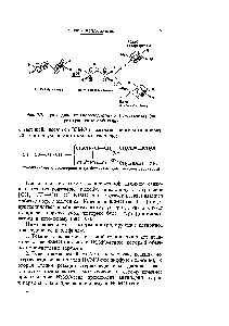 Рис. 7.7. Присоединение <a href="/info/2296">хлороводорода</a> к 1,3-бутадиену (через граничные орбитали).