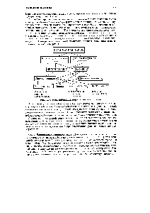Рис. 4.14. <a href="/info/173694">Классификация видов</a> химической связи.