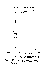 Рис. 83. <a href="/info/279848">Инфракрасный микроскоп</a> (<a href="/info/1755543">модель фирмы Перкин</a> — Эльмер , за исключением микрополяризатора).