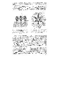 Рис. 86. <a href="/info/4454">Строение мицеллы</a>, образованной из молекул детергента 