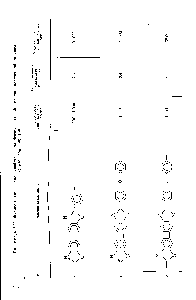 Таблица 7.29 Физнко-<a href="/info/4351">механические свойства</a> полибензоксазольной пленки, полученной поливом