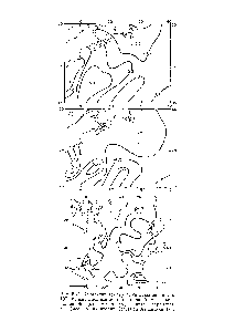 Рис. 5.41. Аномалии температуры воды за январь 1971 г., вычисленные по традиционной (а) и предложенной (б) методикам, карта параметра А,- (мес) на акватории Северной Атлантики (а).