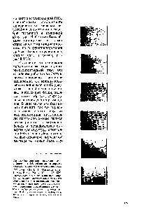 Рис. 75. <a href="/info/573812">Седиментационные диаграммы</a> рибосомных 50S субчастиц по мере их разворачивания <a href="/info/1704905">путем понижения</a> <a href="/info/5296">ионной силы</a> (по L. Р. Gavrilova et al. J. Mol. Biol., 1966, V. 16, p. 473-489) предварительно 50S субчастиц были обработаны <a href="/info/330627">высокой концентрацией</a> NH l для обеднения Mg2+ разворачивание прослеживается (сак <a href="/info/855216">дискретные переходы</a> в состояния с <a href="/info/922890">пониженными коэффициентами</a> седиментации, без деградации <a href="/info/144920">частиц концентрации</a> NH4 I указаны слева <a href="/info/128926">коэффициенты седиментации</a> приведены под каждой диаграммой.