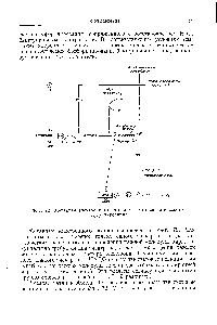 Фиг. 72. Механизм электронного потока для фотосинтетического фосфорилирования.