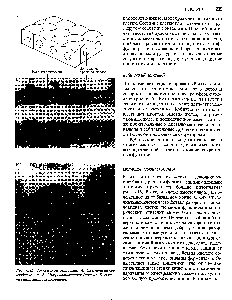 Рис. 6.15. Кубический эпителей. А. <a href="/info/376711">Схематическое изображение</a>. Б. Микрофотография (почка). В. Электронная микрофотография.