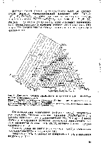 Рис. 4. Диаграмма составов хромшпинелидов хромитовых руд с классификацией по минеральным видам.