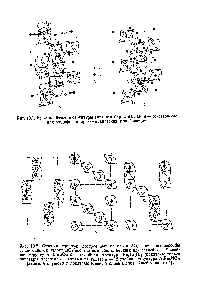 Рис. 13.1. <a href="/info/2548">Кристаллические структуры</a> титаиата бария ВаТЮз. а — <a href="/info/500306">гексагональная модификация</a> б —кубическая модификация.