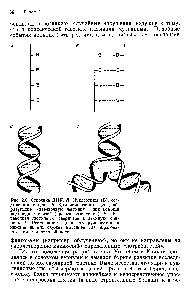 Рис. 2.6. Строение ДНК. А.- Нуклеотиды (В), соединенные в цепь. Б. <a href="/info/509747">Комплементарные цепи</a>, образующие веревочную лестницу при <a href="/info/362904">помощи водородных</a> связей (прерывистые линии). В. Веревочная лестница , свернутая в <a href="/info/32844">двойную спираль</a>. Г. <a href="/info/591231">Репликация цепи</a> раскручиваются, н каждая из иих <a href="/info/1435355">служит матрицей</a> для <a href="/info/200317">образования комплементарной</a> цепи.