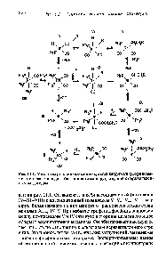 Рис. 11.1. Механизм реакции оксосинтеза, катализируемый фосфиновы-ми <a href="/info/2069">комплексами родия</a>. Указан только маршрут, ведущий к неразветвлен-ным альдегидам