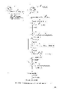 Рис. 23.16. <a href="/info/97224">Схема биосинтеза</a> пальмитиновой кислоты