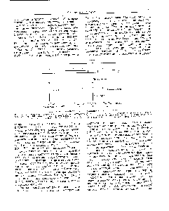 Фиг. 27. <a href="/info/611941">Модель оперона</a> для <a href="/info/628996">регуляции белкового</a> синтеза.