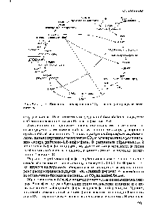 Рис. 8.6. <a href="/info/100029">Цикл Кальвина</a> - превращение СО2 в глюкозу в процессе фотосинтеза