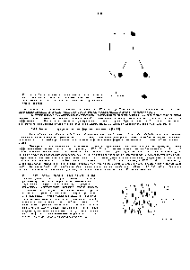 Рис. 17-19. <a href="/info/325342">Схема строения</a> обонятельного эпителия.