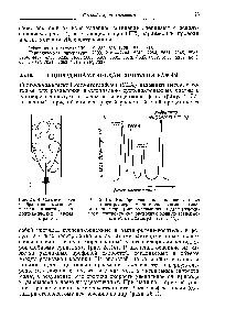Рис. 25.14. <a href="/info/376711">Схематическое изображение</a> <a href="/info/230987">механизма разделения</a> частиц в гидродинамической хроматографии.