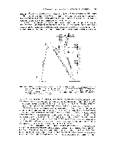 Рис. 4-10. Видоизмененная диаграмма Яблонского, изображающая происхождение замедленной флуоресценции)), фосфоресценции и <a href="/info/762239">триплет-триплетного поглощения</a>. <a href="/info/50464">Безызлучательные переходы</a> показаны волнистыми стрелками (ВК — <a href="/info/2929">внутренняя конверсия</a>, ИКК — <a href="/info/2981">интеркомбинационная конверсия</a>). Г1 обозначает <a href="/info/8840">метастабильное состояние</a> Яблонского.