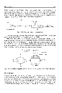 Рис. 21.3. <a href="/info/33340">Регуляция синтеза</a> гемоглобина