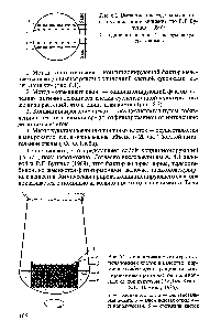 Рис. 6.2. <a href="/info/587051">Использование культуры</a> суспензионных клеток в качестве кормящего слоя для выращивания изолированных протопластов и одиночных клеток кукурузы (Ву Дык Куанг, З.Б.Шамина, 1985) 