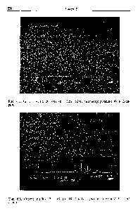 Рис. 6.8. Спектр тербия, 20 кэВ (0—10,24 кэВ), демонстрирующий L- и М-серии.