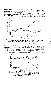 Рис. 2. Изменение фагоцитарного индекса у <a href="/info/101460">морских свинок</a>, получавших ДХГ в условиях хронического эксперимента.