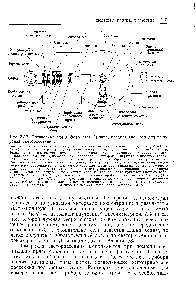 Рис. 7.30. <a href="/info/196341">Оптическая схема</a> фотометра Аминко, предназначенного для измерения светорассеяния.
