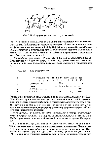 Рис. 2-50. <a href="/info/265884">Конформационная модель</a> грамицидина S.