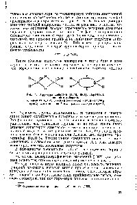 Рис. 1. Структура диборана [1348, 1861]. <a href="/info/26353">Параметры связей</a> в диборане 