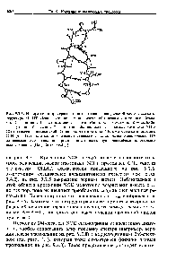 Рис. 9.7.6. <a href="/info/604697">Изображение пространствениого</a> строения <a href="/info/1585715">центральной части</a> участка 3-<a href="/info/1740490">структуры ОПИТ</a>. Десять остатков аминокислоты обозначены следующими буквами С — цистеин, F — фенилаланин, I — изолейцнн, Q — глутамин, R — аргинин, Т — треонин, V — валин, Y — тирозин. <a href="/info/1038770">Водородные связи между</a> группами NH и СО обозначены щтриховкой. Отметим, что протоны NH л-го остатка и протоны С"Н (п - 1)-го остатка, <a href="/info/1451465">обозначенные стрелками</a>, расположены очень близко. Наблюдаемые NOE позволяют провести <a href="/info/250204">последовательную идентификацию</a> резонансных сигналов. (Из работы [9.31].)