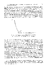 Рис. 1-8. <a href="/info/96413">Схематическая диаграмма</a> сил Ван-дер-Ваальса (г — вандерваальсовы радиусы).