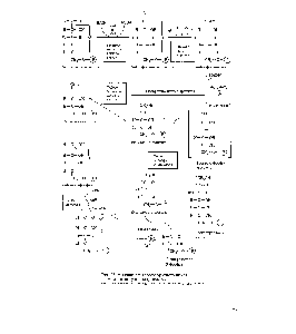 Рис. 38. Реакции пентозофосфатного цикла