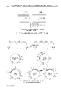 Рис. 1.54. <a href="/info/1351475">Схема конструирования</a> гена эглина С. X— последовательность целевого гена