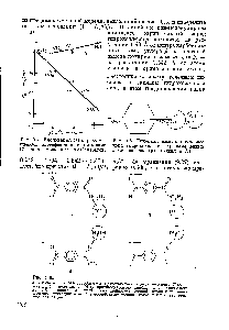 Рис. 9.5. <a href="/info/24522">Линейная модель</a> <a href="/info/400548">комплекса иона гидроксила</a> с <a href="/info/438688">пара-замещенным</a> этилбензоатом (расстояния в A).