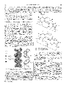Рис. 2. Схема <a href="/info/578876">вторичной структуры дезоксирибонуклеиновой кислоты</a> (<a href="/info/33568">модель Уотсона</a> и Крика).