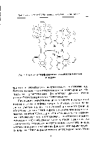 Рис. 5. <a href="/info/1899023">Структура порфириновых</a> комплексов ванадила