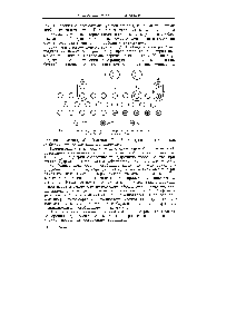 Рис. 39. <a href="/info/307152">Типы адсорбции</a> на <a href="/info/171760">поверхности ионного</a> кристалла (по Ф. Ф. Волькенштейну).