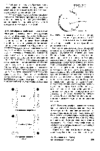 Рис. 10.29. Асимметрия <a href="/info/1893481">системы сопряженного транспорта</a> Ма и в плазматических мембранах,