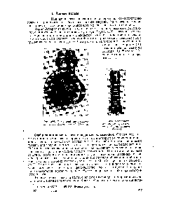 Рис. 359. Титановый сублимационный насос фирмы Эдвардс (Англия)