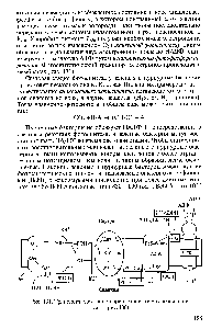Рис. 131. <a href="/info/97244">Транспорт электронов</a> при фотосинтезе (обозначения см. на рис. 130)