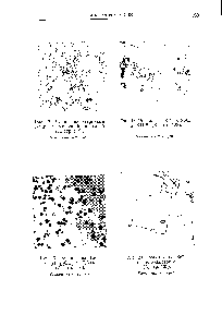 Рис. 17. Реакция на <a href="/info/223441">иттриевые земли</a> с молочной кислотой (А, стр. 119).