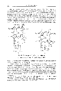 Рис. 5. Структурные формулы хлорофилла Л —по А. Штолю (1938) — по Г. Фишеру (1939)