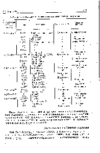 Таблица 14.2. <a href="/info/19737">Окислительно-восстановительные реакции</a> плутония