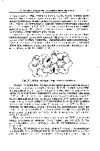 Рис. 10. Модель молекулы салицилаль-о-аминофенола.