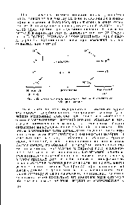 Рис. 143. Схема обменной адсорбции анионов и <a href="/info/869974">катионов солей</a> протоплазмой