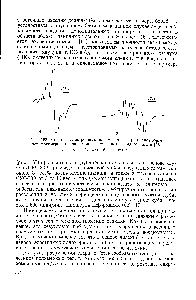 Рис. 168. <a href="/info/105809">Спектры электронного парамагнитного резонанса</a> <a href="/info/1012599">образцов полимеров</a>, <a href="/info/73680">механически разрушенных</a> в жидком азоте [18]
