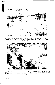 Рис. 3.6. Обнажение горизонтально залегающего пласта цеолптов в долине Сан-Симон (Аризона). Пласт цеолптов покрывает эродированную поверхность склона.