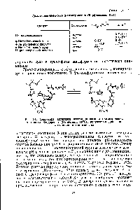 Рис. 31. <a href="/info/349558">Структура активного центра</a> циннамоил-а-химотрипсина по данным Хендерсона (Henderson, 1970), полученным для индо-