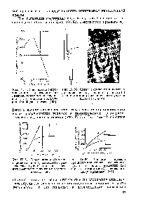 Рис. IV.34. <a href="/info/97576">Схема соединения</a> внахлестку для <a href="/info/325966">измерения адгезионной прочности</a> (а) и снимок в поляризованном свете участка клеевого слоя (б).