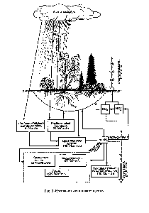 Рис. 3. <a href="/info/508929">Круговорот азота</a> в биогеоценозе