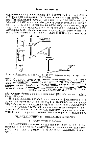 Рис. 3. Диаграмма потенциалов в <a href="/info/392181">процессе переноса электронов</a> при фотосинтезе [57].