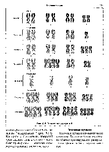 Рис. 6.8. <a href="/info/1897590">Типы геномных</a> мутаций