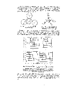 Фиг. 33. <a href="/info/18044">Структура воды</a> по Берналу и Фоулеру.